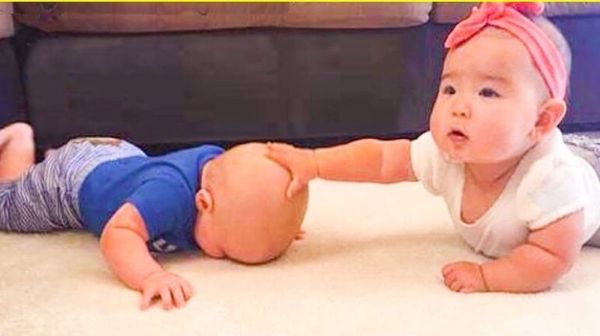 meme đấm nhau không