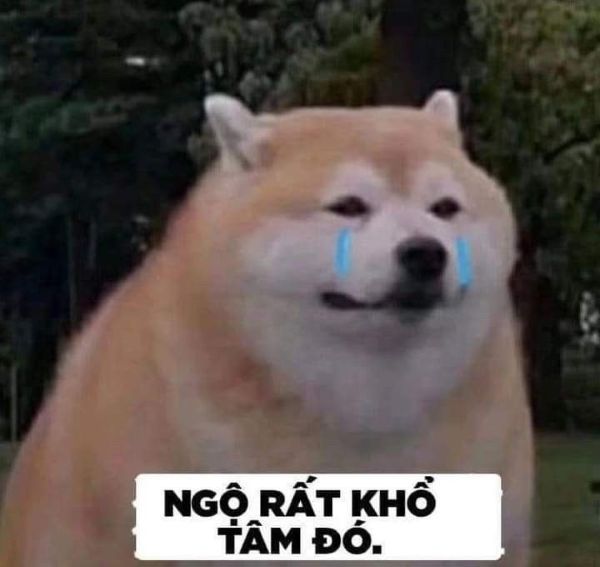 meme đau khổ (20) meme đau khổ (20)