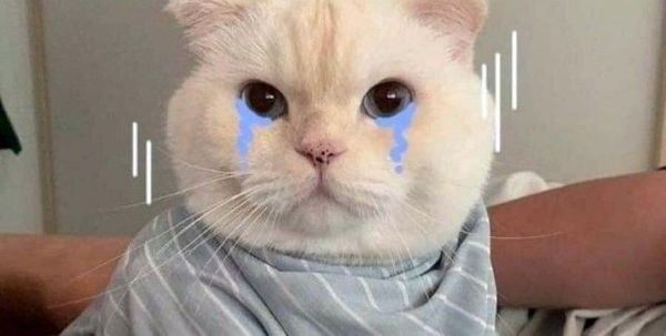meme đau khổ (7) meme đau khổ (7)