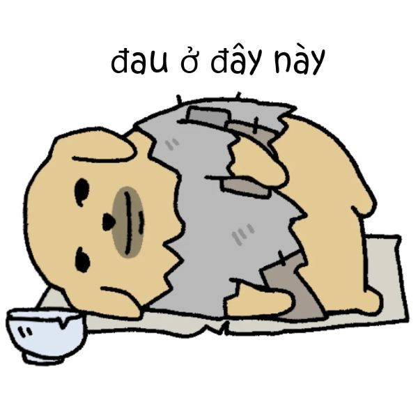 meme đau ở đây này (13) meme đau ở đây này (13)