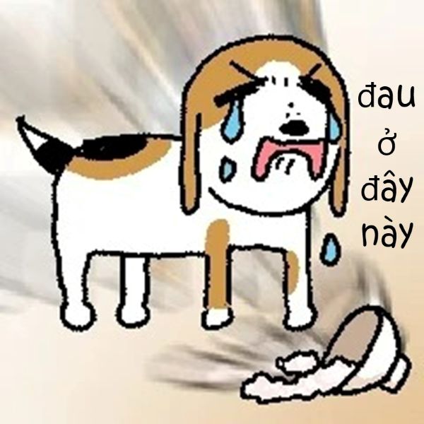 meme đau ở đây này (15) meme đau ở đây này (15)