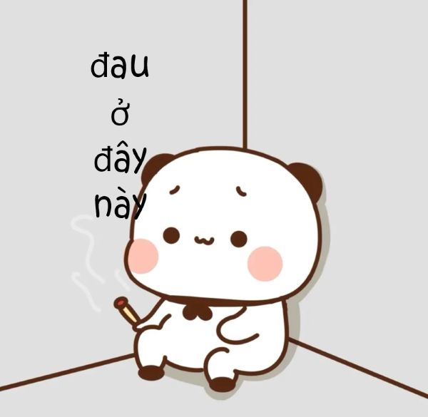 meme đau ở đây này (17) meme đau ở đây này (17)