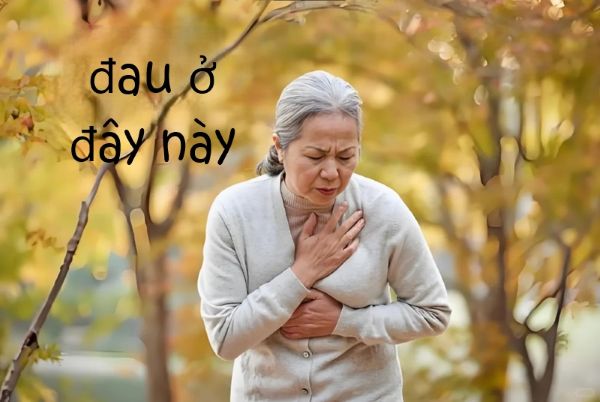 meme đau ở đây này (2) meme đau ở đây này (2)