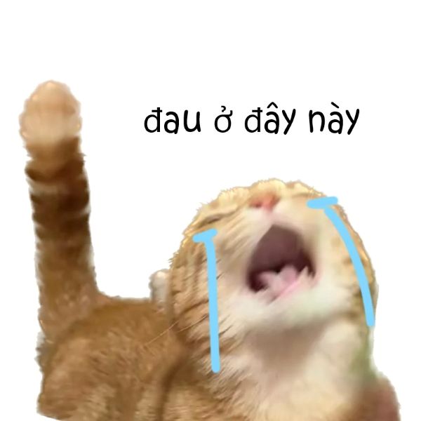meme đau ở đây này (3) meme đau ở đây này (3)
