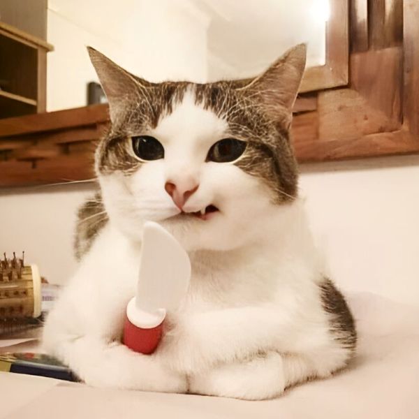 meme đê tiện (1)