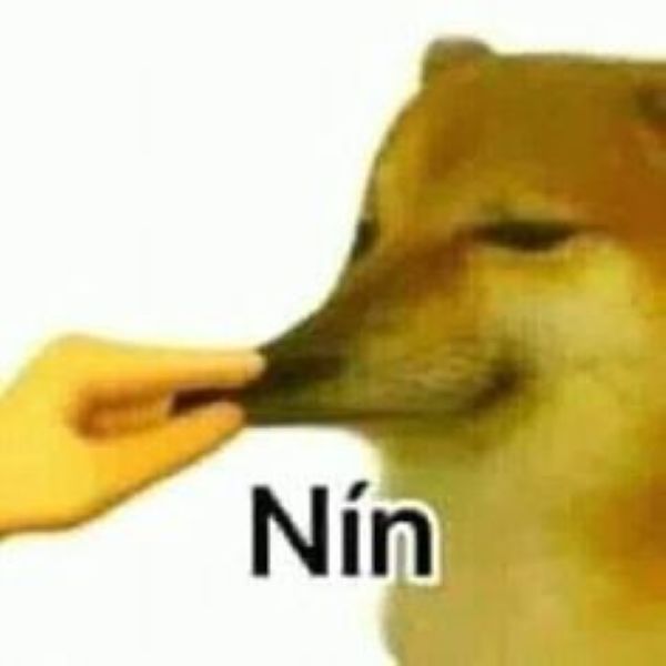 meme hài bựa (8)