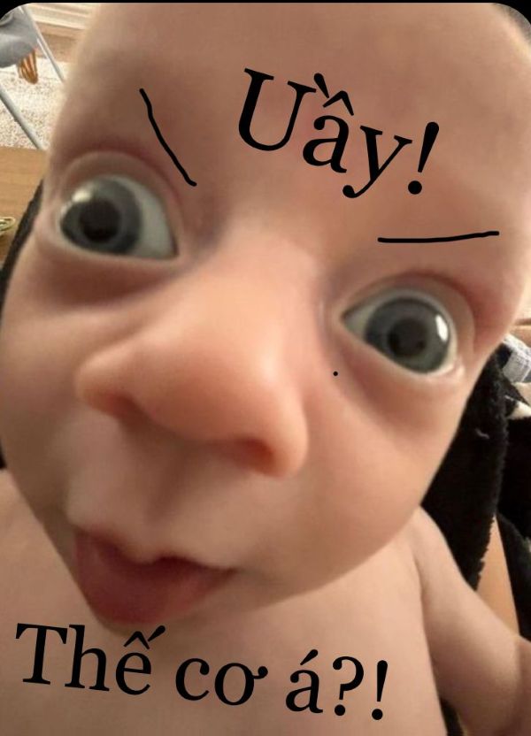 meme hoảng hốt (13) meme hoảng hốt (13)