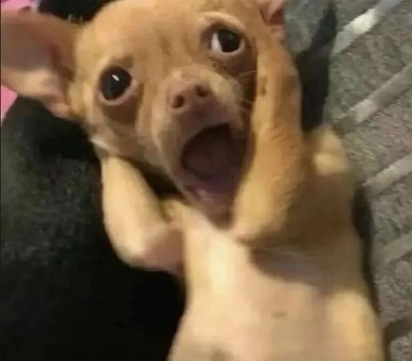 meme hoảng hốt (3) meme hoảng hốt (3)