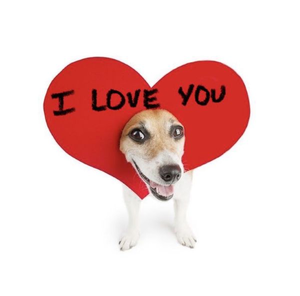 meme i love you (11) meme i love you (11)