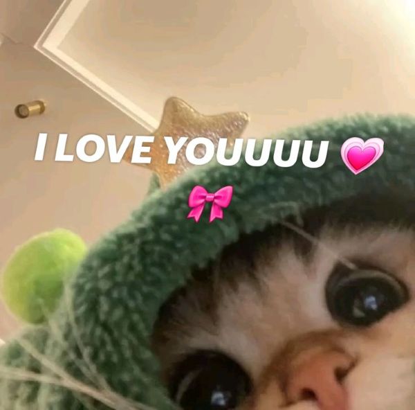 meme i love you (13) meme i love you (13)