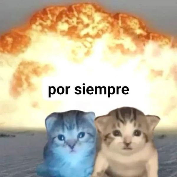 meme i love you (19) meme i love you (19)