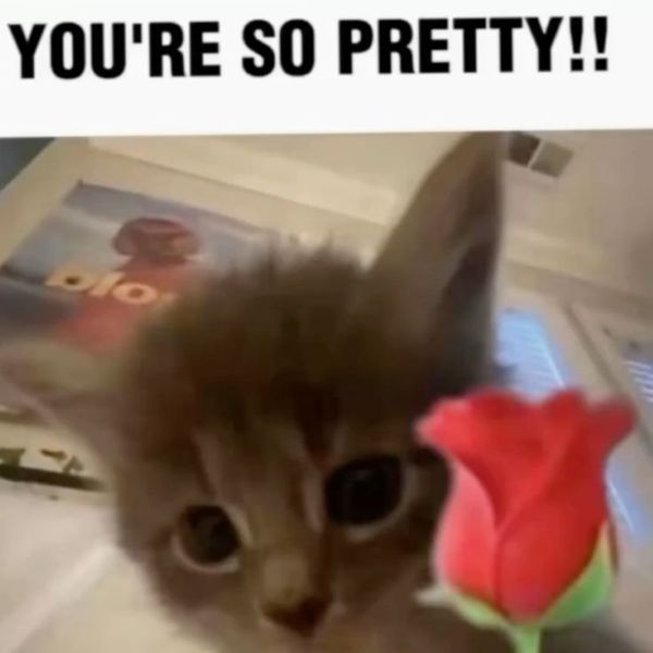 meme i love you (21) meme i love you (21)