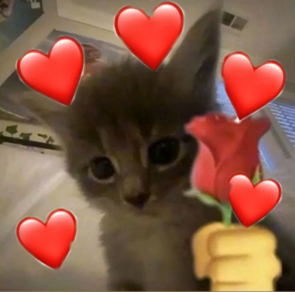 meme i love you (22) meme i love you (22)