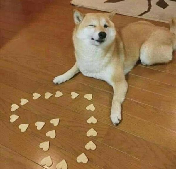 meme i love you (4) meme i love you (4)