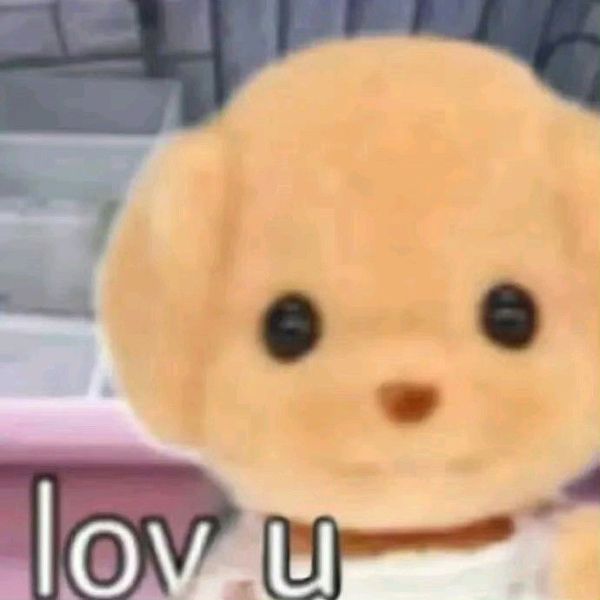 meme i love you (9) meme i love you (9)