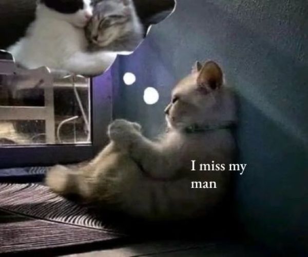 meme i miss you (1) meme i miss you (1)