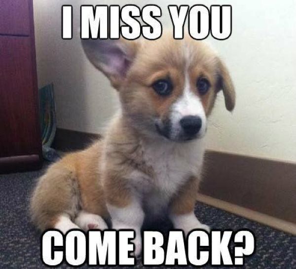 meme i miss you (17) meme i miss you (17)