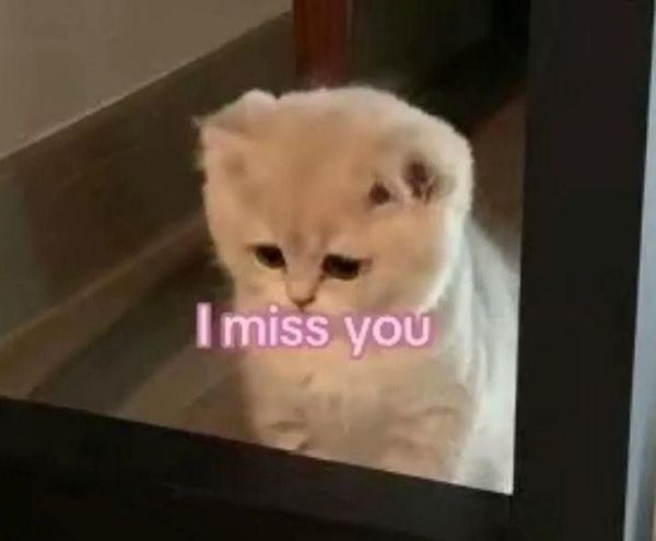 meme i miss you (6) meme i miss you (6)
