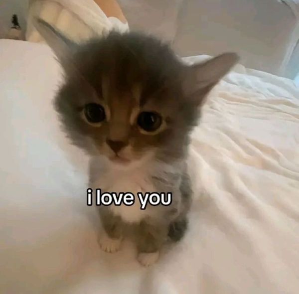 meme i miss you (9) meme i miss you (9)