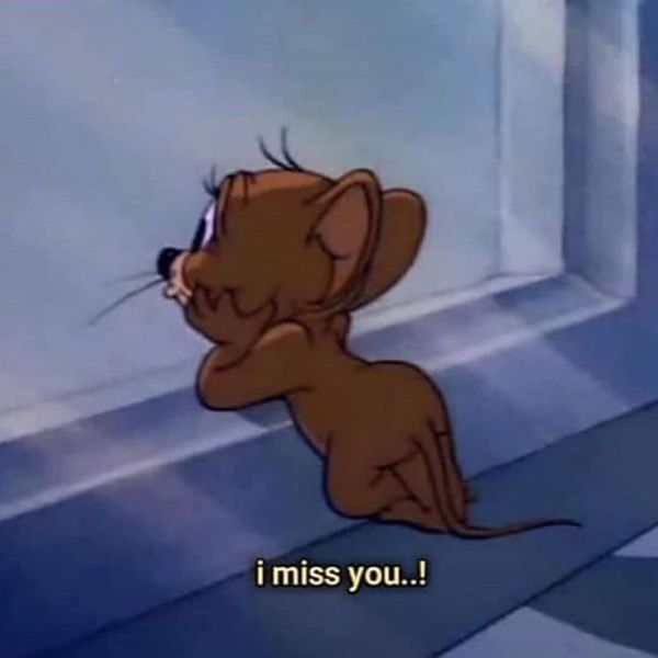 meme i miss you too meme i miss you too