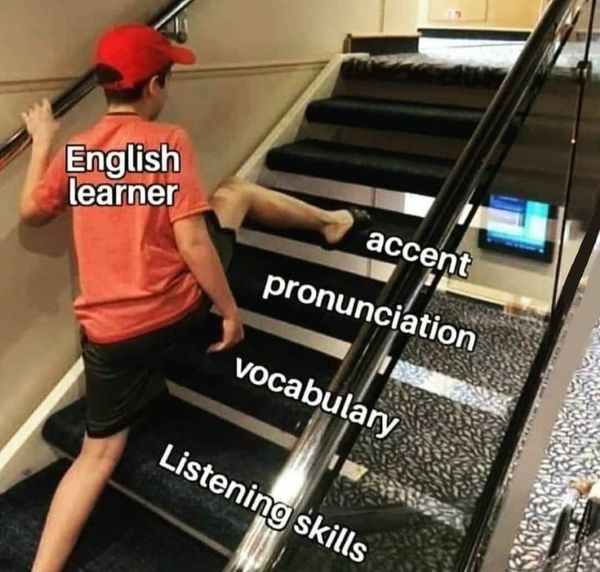 meme ielts (13) meme ielts (13)