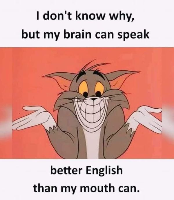 meme ielts (16) meme ielts (16)