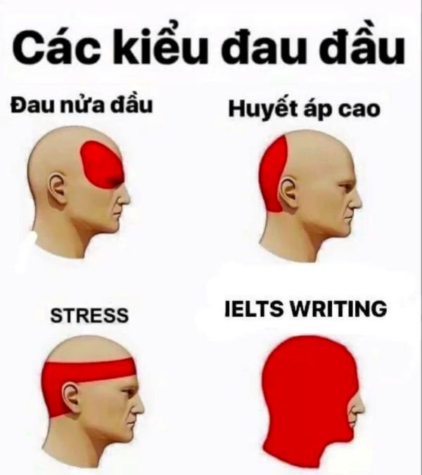 meme ielts (3) meme ielts (3)