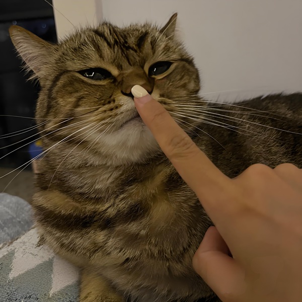 meme im lặng (10) meme im lặng (10)