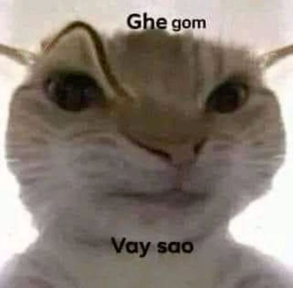 meme khen (27) meme khen (27)