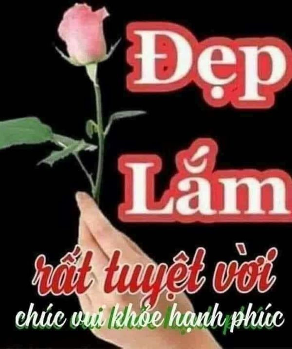 meme khen (29) meme khen (29)