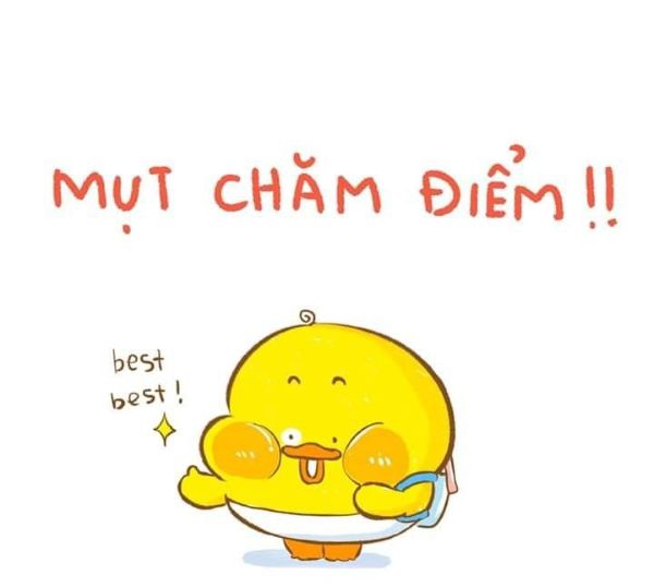 meme khen (4) meme khen (4)