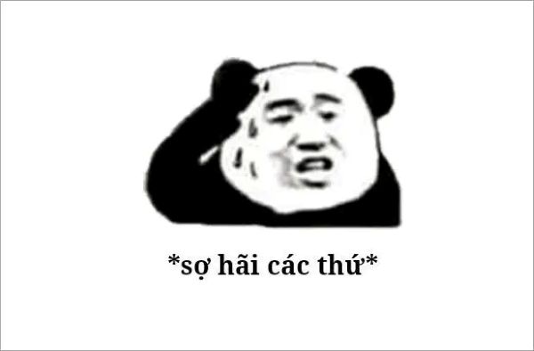 meme lau mồ hôi (19) meme lau mồ hôi (19)