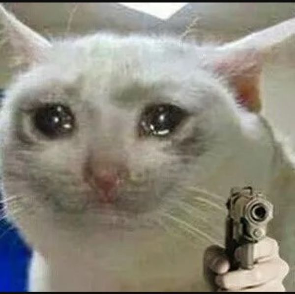 meme lau nước mắt (16)