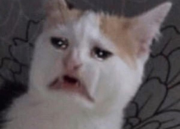 meme lau nước mắt (17)