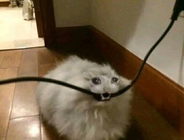 meme lau nước mắt (22)