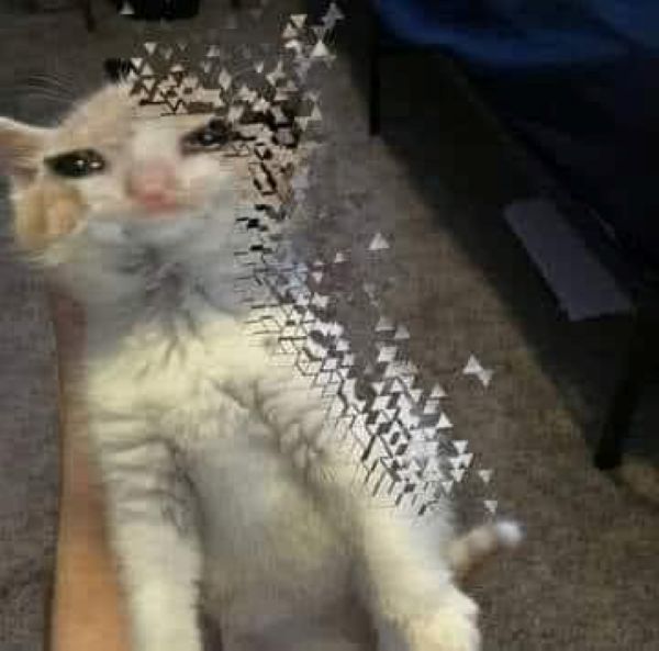 meme lau nước mắt (9)