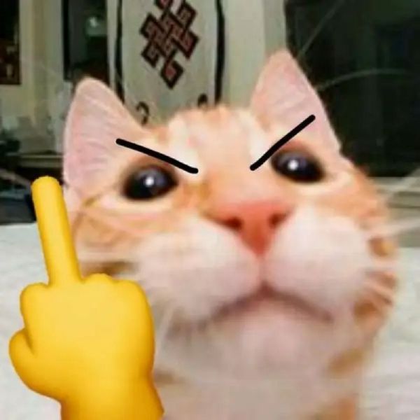 meme ngón giữa (5) meme ngón giữa (5)