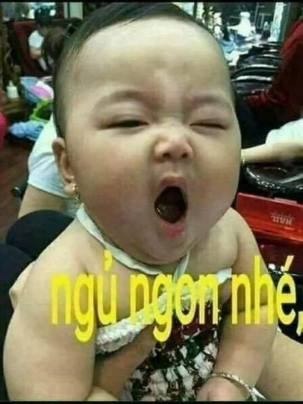 meme ngủ (12)