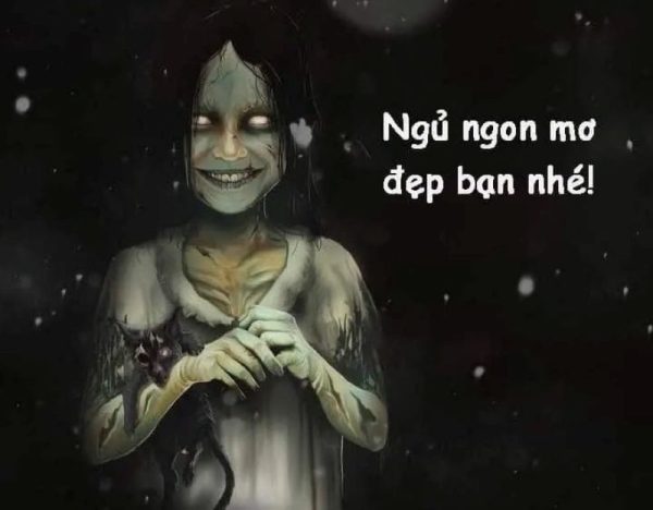 meme ngủ (17)