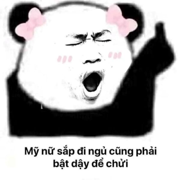 meme ngủ (19)