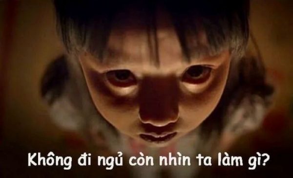 meme ngủ (2)