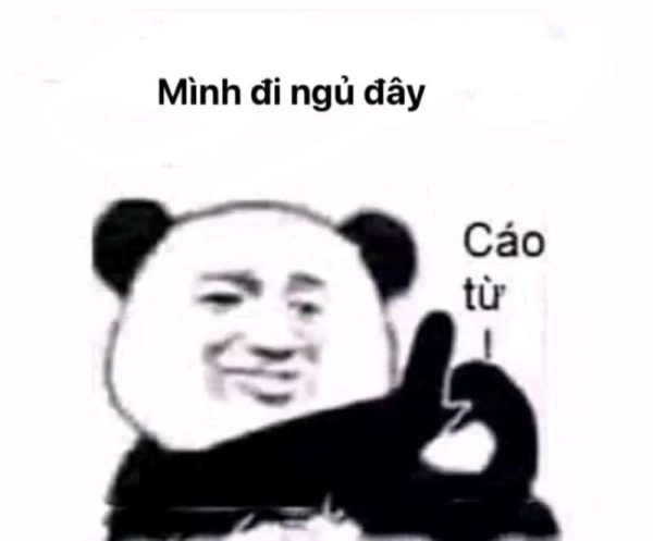 meme ngủ (25)