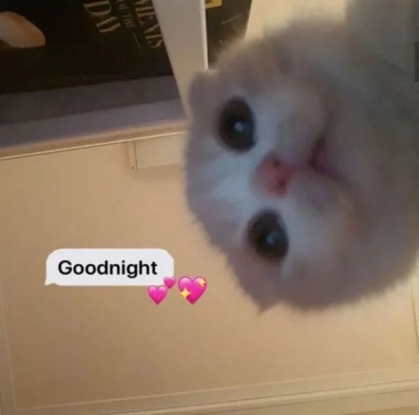 meme ngủ (26)