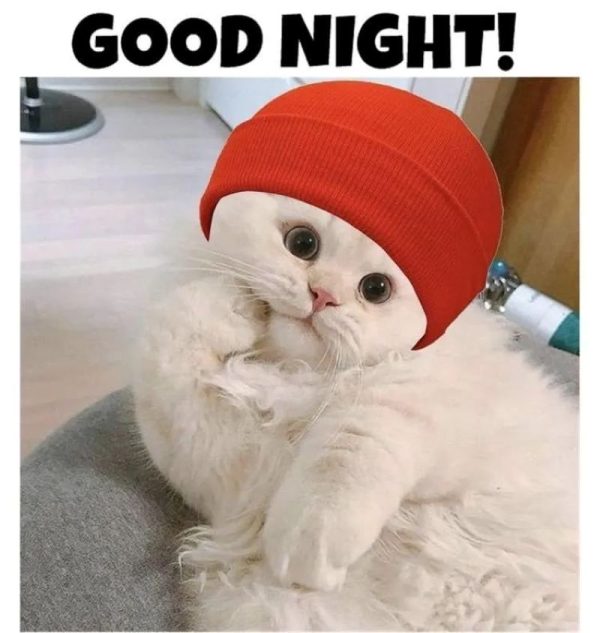 meme ngủ (8)