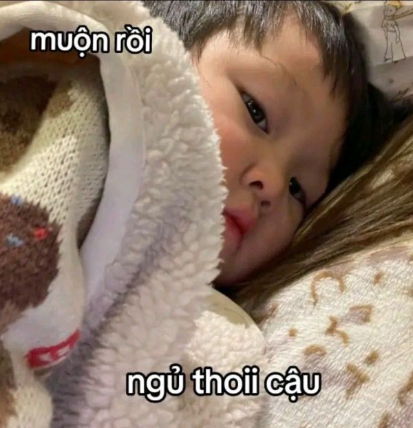 meme ngủ đi