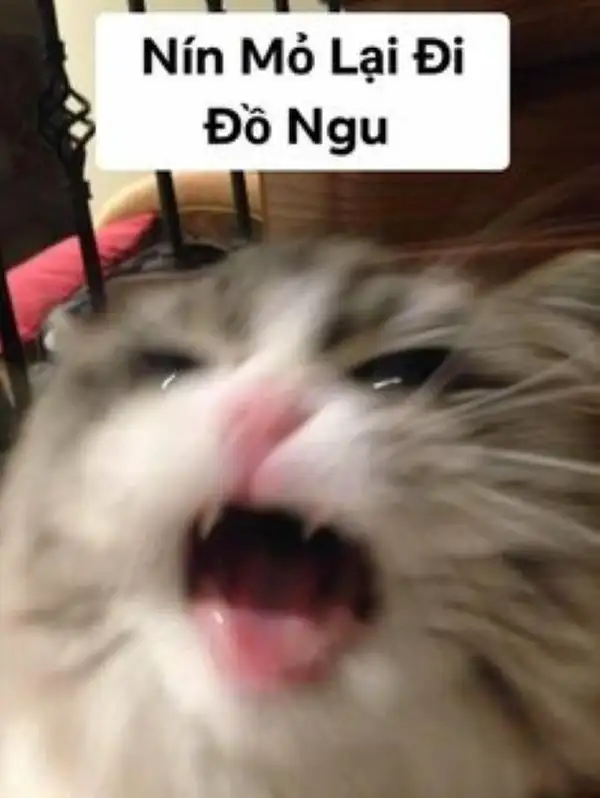 meme nín (4) meme nín (4)