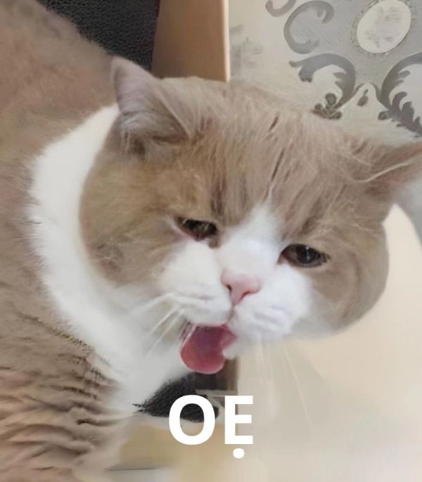 meme oẹ (15) meme oẹ (15)