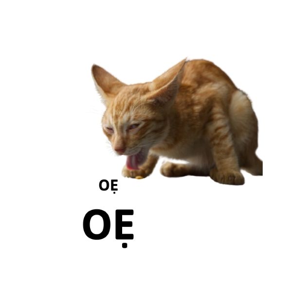 meme oẹ (16) meme oẹ (16)