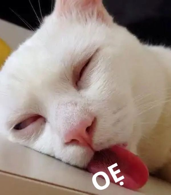 meme oẹ (17) meme oẹ (17)