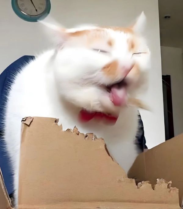 meme oẹ (19) meme oẹ (19)